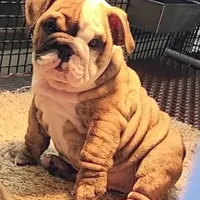 processed/b48d67aa-1c0d-458c-9e5c-ee63aa6d921b/facility/ca739b94-b05c-46a4-a198-88a48177676f