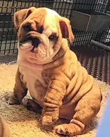 processed/b48d67aa-1c0d-458c-9e5c-ee63aa6d921b/facility/ca739b94-b05c-46a4-a198-88a48177676f