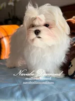 processed/b4a36eaa-4fc5-4c35-911e-00c3e14c6016/listing/30334062-b21e-44f2-8e07-e460ca350470/1e78235a-82cf-4c93-81ac-b705442ec418