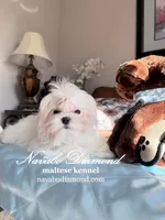 processed/b4a36eaa-4fc5-4c35-911e-00c3e14c6016/listing/30334062-b21e-44f2-8e07-e460ca350470/50612430-5ec0-48e7-986a-3dfebafe7057