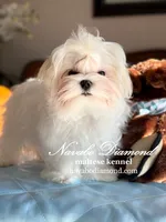 processed/b4a36eaa-4fc5-4c35-911e-00c3e14c6016/listing/30334062-b21e-44f2-8e07-e460ca350470/798942d3-244b-40b7-96a1-6189f486623d