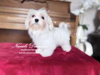 processed/b4a36eaa-4fc5-4c35-911e-00c3e14c6016/listing/d0ab4130-487a-4c7e-bc7d-3529115844e5/1116dd3e-a692-47d0-95f7-5dcd4cd5a3aa