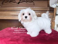 processed/b4a36eaa-4fc5-4c35-911e-00c3e14c6016/listing/d0ab4130-487a-4c7e-bc7d-3529115844e5/42b33e25-fea5-48e8-95b4-457d688b3b97