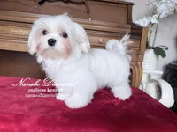 processed/b4a36eaa-4fc5-4c35-911e-00c3e14c6016/listing/d0ab4130-487a-4c7e-bc7d-3529115844e5/4c863991-fec1-460c-8108-80b5592b1a14