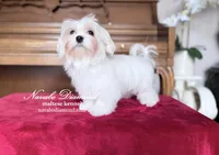 processed/b4a36eaa-4fc5-4c35-911e-00c3e14c6016/listing/d0ab4130-487a-4c7e-bc7d-3529115844e5/a8e20425-7d39-442e-86ac-3f510d608fb2