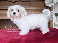 processed/b4a36eaa-4fc5-4c35-911e-00c3e14c6016/listing/d0ab4130-487a-4c7e-bc7d-3529115844e5/d9b50611-4c10-4ff6-9d6f-15b1245159bb