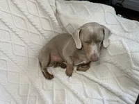 processed/b4b551f3-06d7-49fa-b9e4-9e6ef42f1c27/listing/24862adf-c2f9-4cac-ba99-be0093b744ab/0ffd6fe9-5883-4621-b0ee-be21a28438de