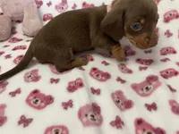 processed/b4b551f3-06d7-49fa-b9e4-9e6ef42f1c27/listing/24862adf-c2f9-4cac-ba99-be0093b744ab/23f9a512-1b9d-4fca-af7d-d445d7a47da7