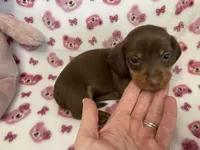 processed/b4b551f3-06d7-49fa-b9e4-9e6ef42f1c27/listing/24862adf-c2f9-4cac-ba99-be0093b744ab/2e6d94e0-edca-471a-b130-1e54b4e22b06