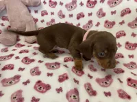 processed/b4b551f3-06d7-49fa-b9e4-9e6ef42f1c27/listing/24862adf-c2f9-4cac-ba99-be0093b744ab/6845a29f-08aa-4ae7-b34a-a628b4ca8b87