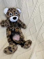 Ember, a female Miniature Dachshund for sale in Spring Hill, FL – Photo 6 of 10