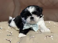 processed/b4b9a77b-b414-488f-8ab9-8f1d290af8a9/facility/4cfa3fa4-bee9-4cfa-b2e5-2d8892565341