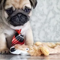 processed/b4bc95d2-9374-4144-8be7-499f7ff6cc58/facility/0f2f49e8-4530-4b6f-9e1f-4b0ec5511d76