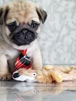 processed/b4bc95d2-9374-4144-8be7-499f7ff6cc58/facility/0f2f49e8-4530-4b6f-9e1f-4b0ec5511d76