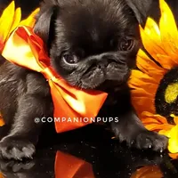 processed/b4bc95d2-9374-4144-8be7-499f7ff6cc58/facility/3d25bcbd-1c72-46f7-b2e7-462c4da62a2c