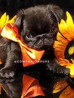 processed/b4bc95d2-9374-4144-8be7-499f7ff6cc58/facility/3d25bcbd-1c72-46f7-b2e7-462c4da62a2c