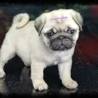 processed/b4bc95d2-9374-4144-8be7-499f7ff6cc58/facility/3df3ec3b-2626-4ad5-8965-b05fc423bf1d