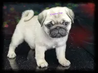 processed/b4bc95d2-9374-4144-8be7-499f7ff6cc58/facility/3df3ec3b-2626-4ad5-8965-b05fc423bf1d