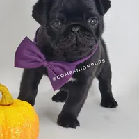 processed/b4bc95d2-9374-4144-8be7-499f7ff6cc58/facility/82ad5a22-9733-41cf-9be8-5f6f9dda4e8c