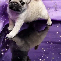 processed/b4bc95d2-9374-4144-8be7-499f7ff6cc58/facility/c7823528-ed4e-4394-8c9a-a70de7d5eb5c