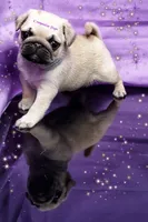 processed/b4bc95d2-9374-4144-8be7-499f7ff6cc58/facility/c7823528-ed4e-4394-8c9a-a70de7d5eb5c