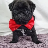 processed/b4bc95d2-9374-4144-8be7-499f7ff6cc58/facility/dc2eab3d-9369-48f4-8fd9-0ba9520f3f06