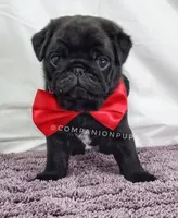 processed/b4bc95d2-9374-4144-8be7-499f7ff6cc58/facility/dc2eab3d-9369-48f4-8fd9-0ba9520f3f06