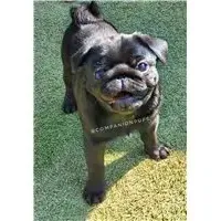 processed/b4bc95d2-9374-4144-8be7-499f7ff6cc58/facility/dd5cbcab-21b8-42dc-b1db-a956f0f81c48