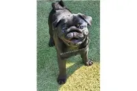 processed/b4bc95d2-9374-4144-8be7-499f7ff6cc58/facility/dd5cbcab-21b8-42dc-b1db-a956f0f81c48