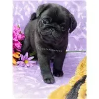 processed/b4bc95d2-9374-4144-8be7-499f7ff6cc58/facility/e5362815-090a-4946-aa69-444a1ab754e6