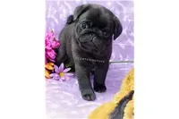 processed/b4bc95d2-9374-4144-8be7-499f7ff6cc58/facility/e5362815-090a-4946-aa69-444a1ab754e6