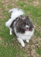 processed/b4bc95d2-9374-4144-8be7-499f7ff6cc58/listing/47502045-8343-4fa9-8127-e91dba5ec698/cbf2d356-b0d8-42a5-95e1-756e709518b1