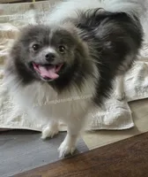 processed/b4bc95d2-9374-4144-8be7-499f7ff6cc58/listing/47502045-8343-4fa9-8127-e91dba5ec698/ff63d9e8-b042-43a1-b0a6-d46bffb879b8