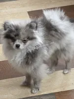 processed/b4bc95d2-9374-4144-8be7-499f7ff6cc58/listing/6723c884-ecce-4c54-9419-1df951afbbc6/2da7b864-927f-48fe-83ef-0981b1edefba