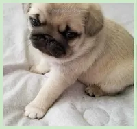 processed/b4bc95d2-9374-4144-8be7-499f7ff6cc58/listing/8862e524-5a24-45ac-9b5c-7b88afb413e6/bc3bfd14-d54b-49af-a0c8-90a0139000a5