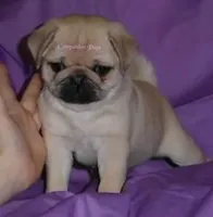 processed/b4bc95d2-9374-4144-8be7-499f7ff6cc58/listing/8862e524-5a24-45ac-9b5c-7b88afb413e6/fb1644dc-d02e-4b79-b40e-22777ac273ca