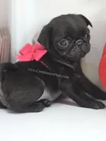 processed/b4bc95d2-9374-4144-8be7-499f7ff6cc58/listing/8c5fda24-3e31-472d-8a84-219f5d568e0d/0577bbf7-e6de-4a3a-bd58-6ecd86557a7e