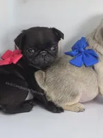 processed/b4bc95d2-9374-4144-8be7-499f7ff6cc58/listing/8c5fda24-3e31-472d-8a84-219f5d568e0d/088a174c-a100-4322-a5ed-762a3dca691b