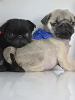 processed/b4bc95d2-9374-4144-8be7-499f7ff6cc58/listing/8c5fda24-3e31-472d-8a84-219f5d568e0d/2290eb89-ba2f-4bea-a60f-cc5076bda0f3