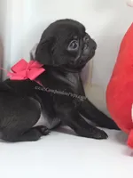 processed/b4bc95d2-9374-4144-8be7-499f7ff6cc58/listing/8c5fda24-3e31-472d-8a84-219f5d568e0d/3b62843b-47fc-42e4-a5ec-6302969f0d15