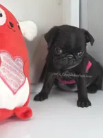 processed/b4bc95d2-9374-4144-8be7-499f7ff6cc58/listing/8c5fda24-3e31-472d-8a84-219f5d568e0d/82d2abd1-b6e2-42b0-b43f-cf252fdb3b6a