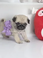 processed/b4bc95d2-9374-4144-8be7-499f7ff6cc58/listing/a420c19a-ac0f-42e6-8938-f3c17c5ffb94/1ee0e69c-ddd3-4b84-a62e-f35e8991b0fc