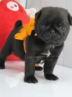 processed/b4bc95d2-9374-4144-8be7-499f7ff6cc58/listing/bb2614ee-ed20-439b-89ca-c354dccaaf18/8f102006-c713-41e1-ae84-ffdf305c08e0