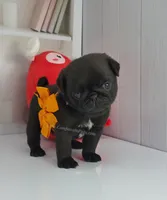 processed/b4bc95d2-9374-4144-8be7-499f7ff6cc58/listing/bb2614ee-ed20-439b-89ca-c354dccaaf18/9d044299-a174-43e0-8306-60710b4141dc