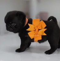 processed/b4bc95d2-9374-4144-8be7-499f7ff6cc58/listing/bb2614ee-ed20-439b-89ca-c354dccaaf18/fe001603-ce6f-47cc-9a2b-de2451ae9d78