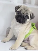 processed/b4bc95d2-9374-4144-8be7-499f7ff6cc58/listing/ee7ee7d0-a6f7-4766-84e3-e03a5c794ede/19bd2853-0ffa-45f1-9313-b484e5fbde6f