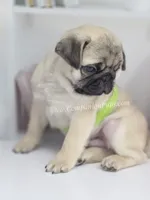 processed/b4bc95d2-9374-4144-8be7-499f7ff6cc58/listing/ee7ee7d0-a6f7-4766-84e3-e03a5c794ede/2dece7a7-60fc-4f30-b3b2-00ad408e7495