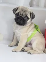 processed/b4bc95d2-9374-4144-8be7-499f7ff6cc58/listing/ee7ee7d0-a6f7-4766-84e3-e03a5c794ede/f992c18d-658e-4418-84f6-417886b97025