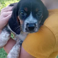 processed/b4bef6e8-dce8-4b0f-b94c-bada2393b51f/facility/60fdfd06-eca0-4ad6-aa50-4e0ff24f29cd