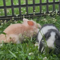 processed/b4bef6e8-dce8-4b0f-b94c-bada2393b51f/facility/a5e5ba9e-984c-41a1-a558-e0d320188f12